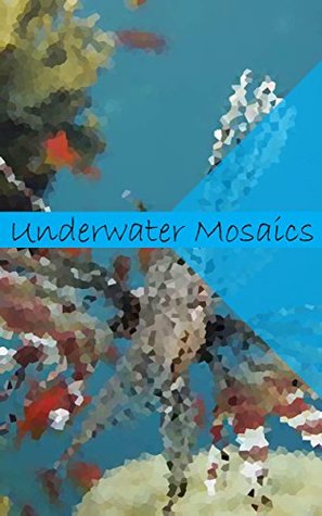 Read online Wonderful Water Mosaics: A new way to look at the vast ocean!: Volume 35 - Q. file in ePub