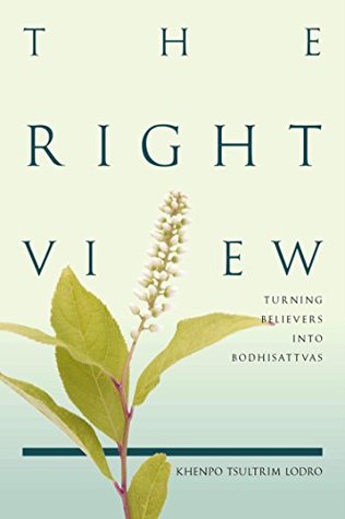 Read The Right View: Turning Believers into Bodhisattvas - Khenpo Tsultrim Lodro Rinpoche | ePub